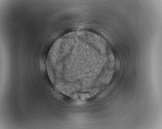 X0000111190719200907291204