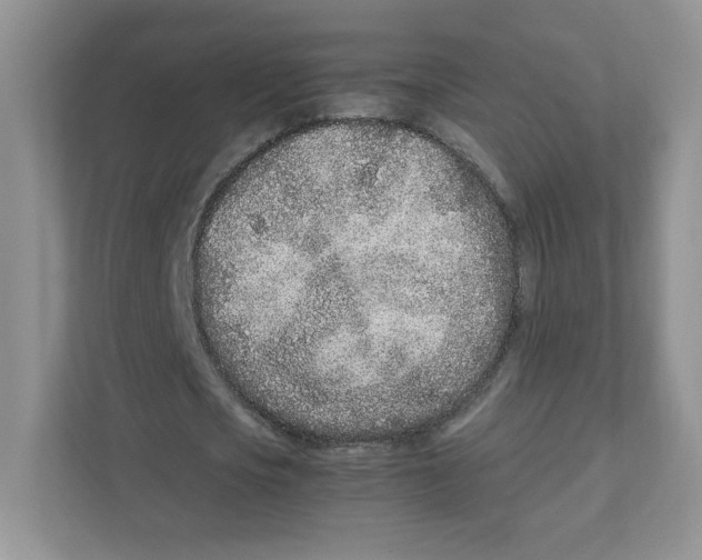 X0000111190721200907291203