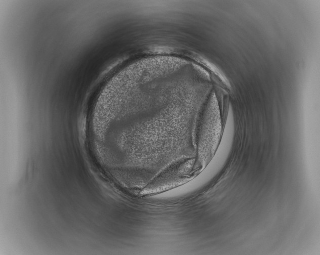 X0000111190722200907291203