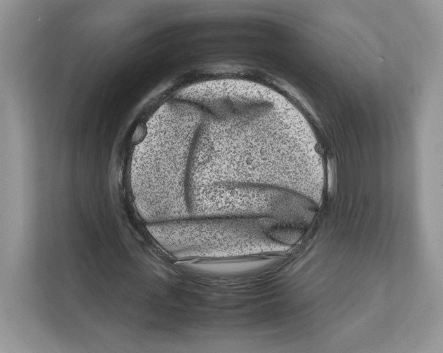 X0000111190723200907291203