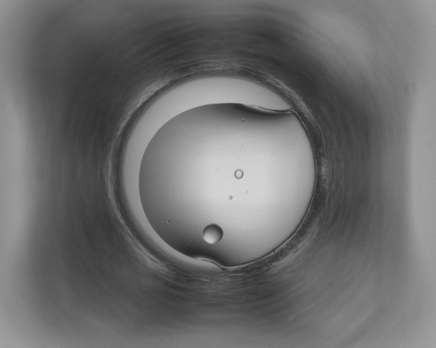 X0000111190725200907291203