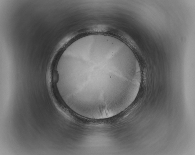 X0000111190726200907291203