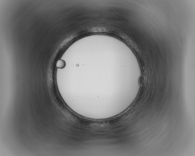 X0000111190727200907291203