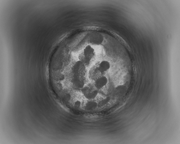 X0000111190729200907291203