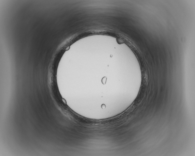 X0000111190732200907291203