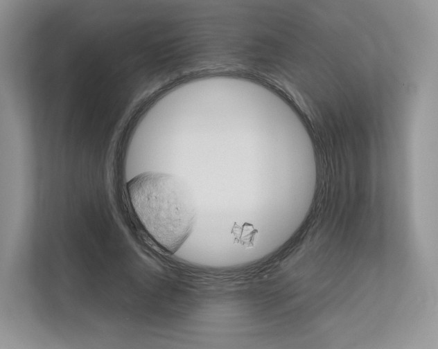 X0000111190736200907291203