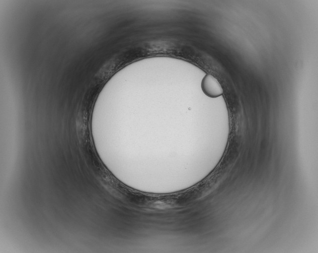 X0000111190737200907291203