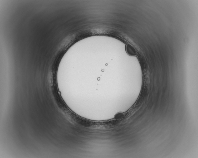 X0000111190738200907291203