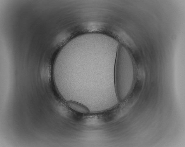 X0000111190740200907291203