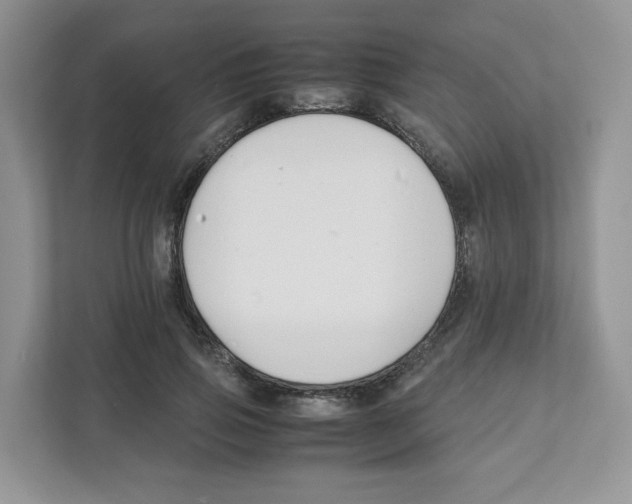 X0000111190741200907291203