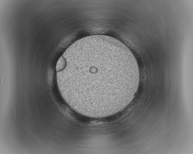 X0000111190742200907291203