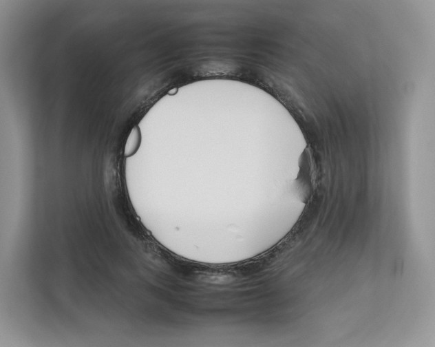 X0000111190743200907291203