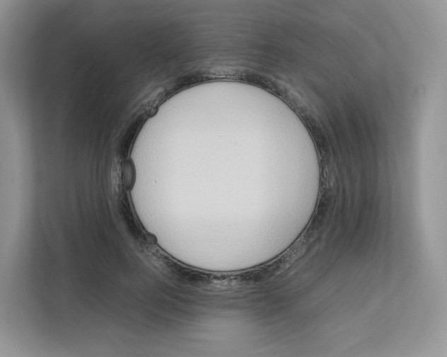 X0000111190744200907291203