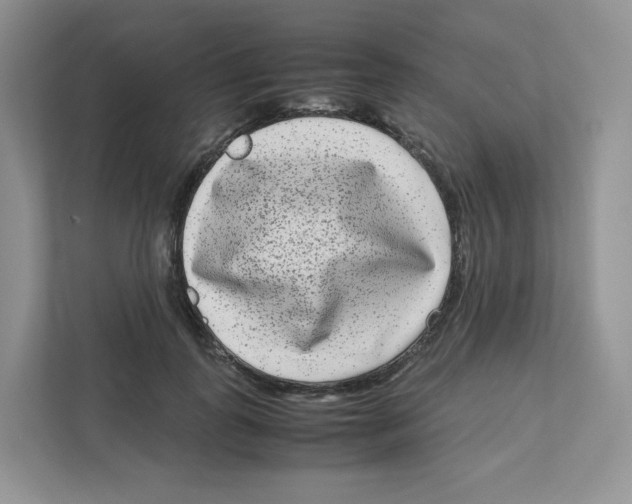 X0000111190747200907291203