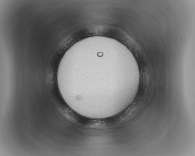X0000111190750200907291203
