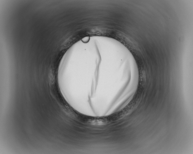 X0000111190751200907291203