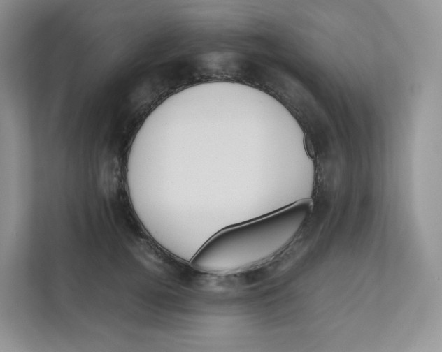 X0000111190752200907291203