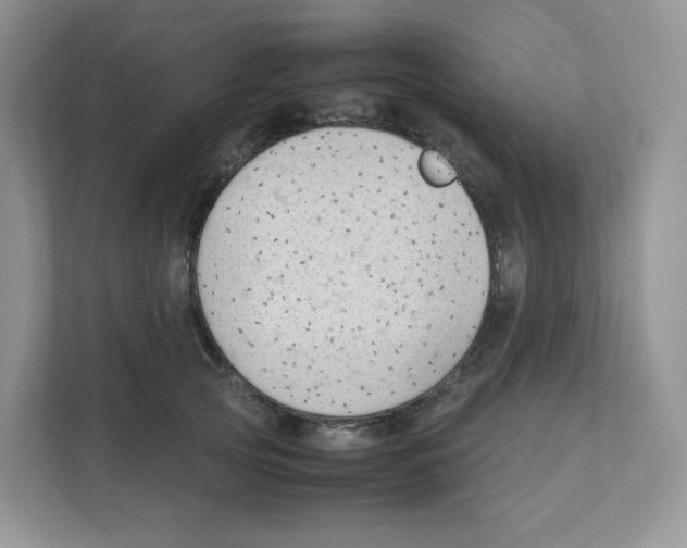 X0000111190753200907291203
