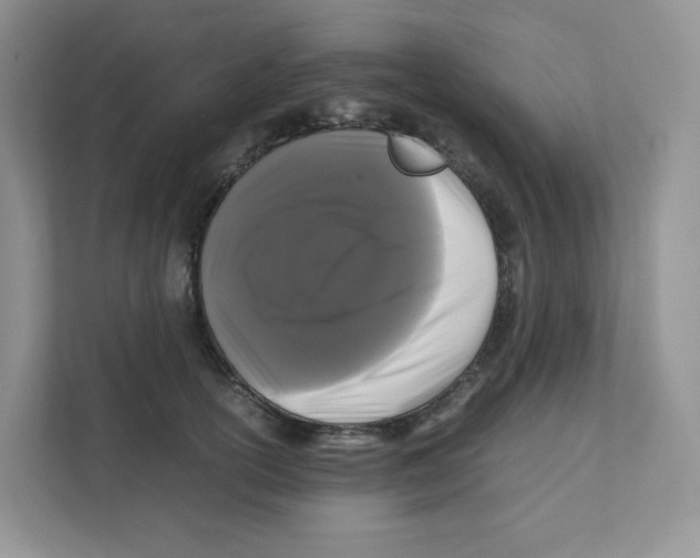 X0000111190754200907291203