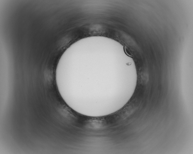 X0000111190756200907291203