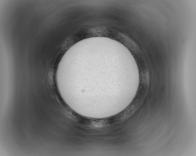 X0000111190757200907291203