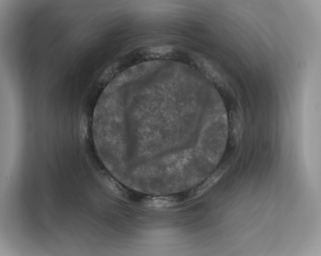 X0000111190758200907291203