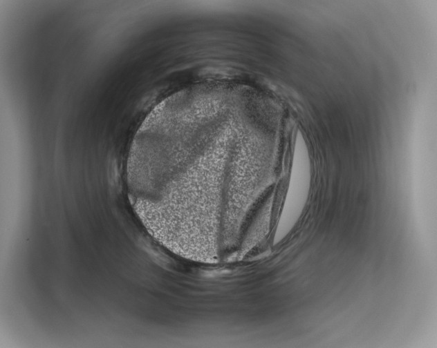 X0000111190759200907291203