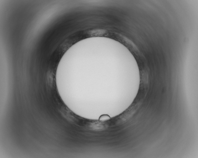 X0000111190761200907291203