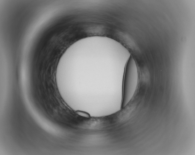 X0000111190764200907291203