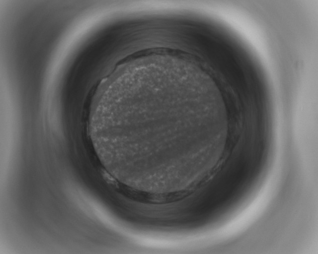 X0000111190766200907291203