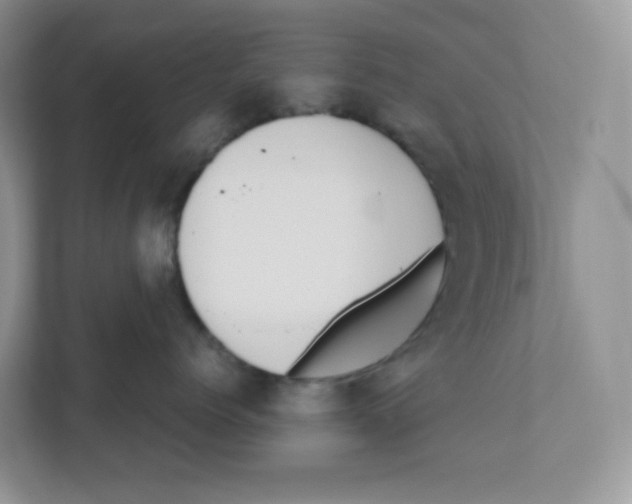 X0000111190768200907291204
