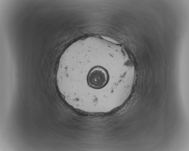 X0000111190769200907291203