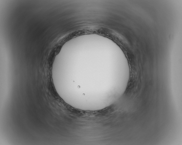 X0000111190773200907291203