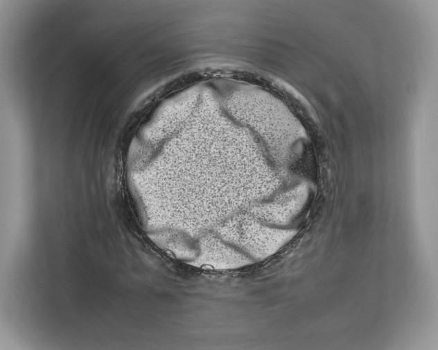 X0000111190775200907291203