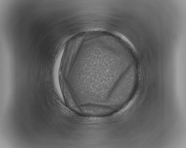 X0000111190777200907291203