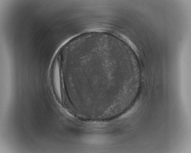 X0000111190779200907291203