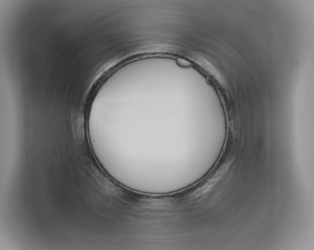 X0000111190781200907291203