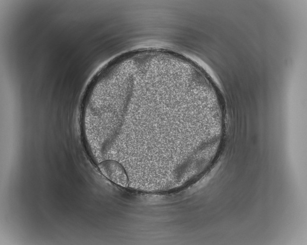 X0000111190783200907291203