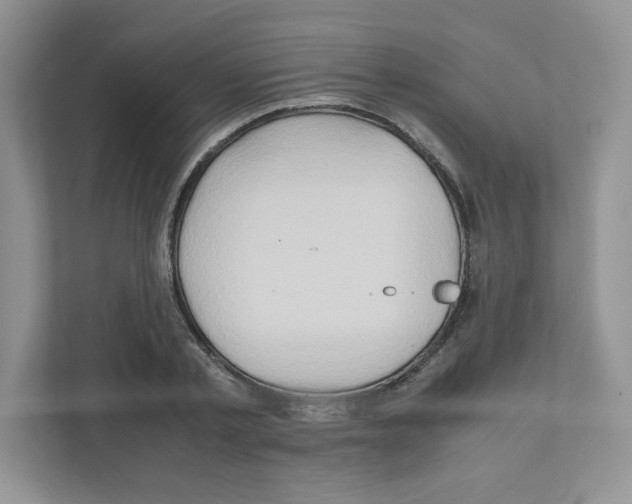 X0000111190789200907291203