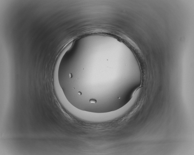 X0000111190793200907291202