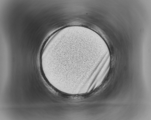 X0000111190795200907291202