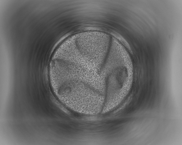 X0000111190798200907291202