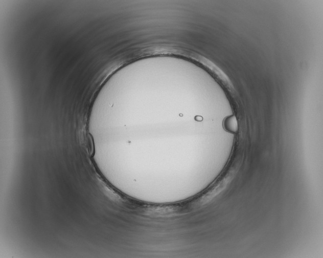 X0000111190801200907291202