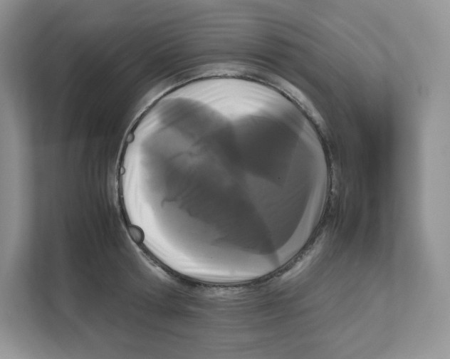 X0000111190802200907291202