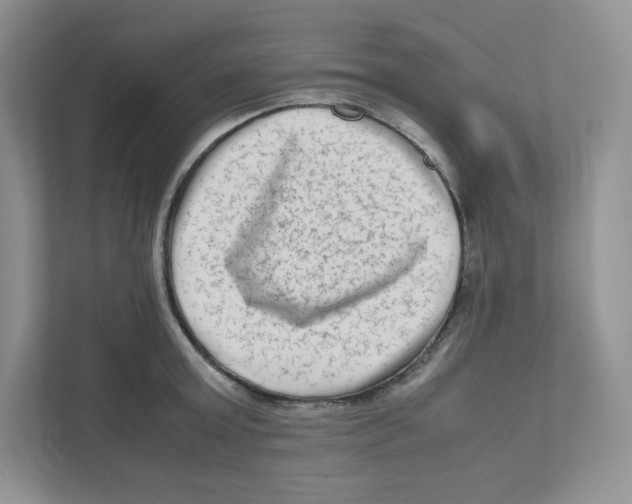 X0000111190803200907291202