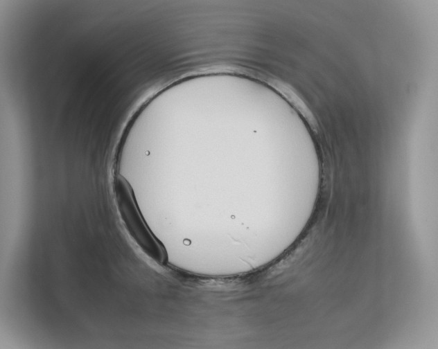 X0000111190805200907291202