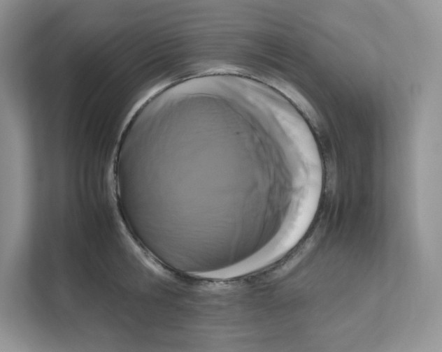 X0000111190806200907291202