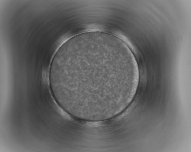 X0000111190810200907291202