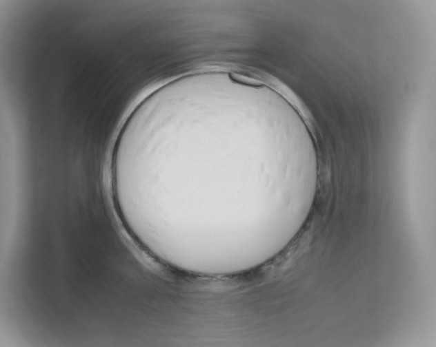 X0000111190811200907291202