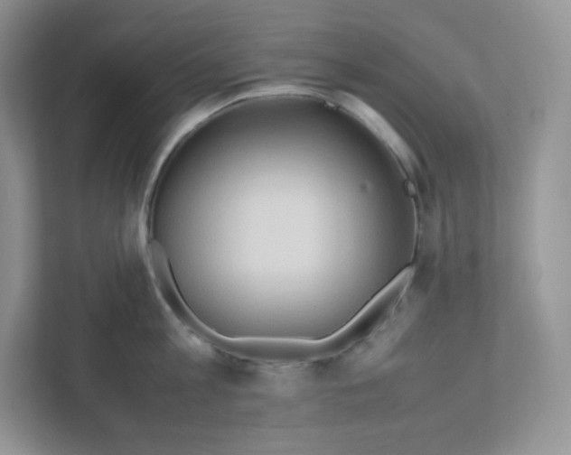 X0000111190813200907291202